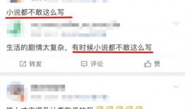娱乐圈知名爆料小说,揭秘知名爆料小说背后的真实故事