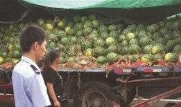 延安网红定格事件吃瓜,揭秘背后的真相与争议