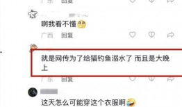 黄新龙最新爆料,揭秘事件背后惊人真相