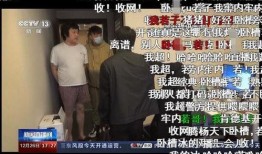 新乡主播爆料事件真相视频,真相视频曝光背后的真相