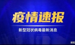 鼎丰集团爆料事件视频最新,事件真相与内幕曝光