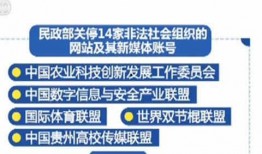 青岛李沧头条今日爆料,聚焦热点事件，揭秘幕后真相