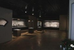 博物馆爆料视频,视频爆料带你探秘珍贵藏品背后的故事