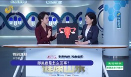 云安电视台爆料新闻视频,揭秘新闻背后的真相