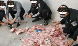 飞行家爆料会被抓吗视频,揭秘背后真相