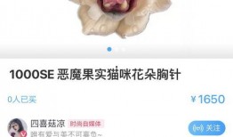 娱乐爆料文案沙雕小礼物,娱乐爆料中的趣味瞬间