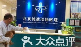 北京宠物医院新闻爆料,紧急救治事件引发关注