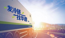 东丰物流爆料最新消息新闻,揭秘行业动态与重大新闻