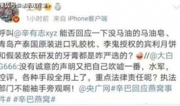 爆料王海打假辛巴视频,王海实名打假，揭秘背后真相