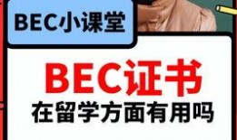 速配吃瓜最新爆料视频,最新爆料视频深度解析