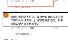 黄新龙最新爆料,揭秘事件背后惊人真相