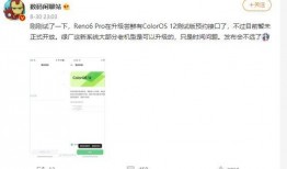 站哥最新爆料大全