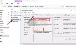 网友爆料可乐视频下载软件,网友热议的可乐视频下载神器，下载速度惊人！