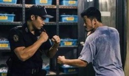 杀破狼3手机在线观看