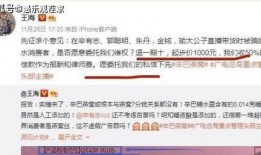 爆料王海打假辛巴视频,王海实名打假，揭秘背后真相