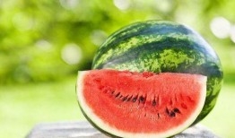 吃瓜情报处网红,揭秘吃瓜情报处的幕后故事