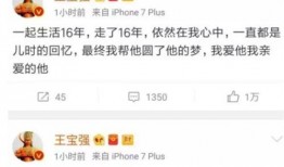 王宝强弟弟爆料视频,揭秘视频背后的惊人真相