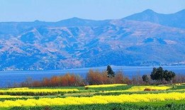 云南凯凯最新爆料,揭秘神秘事件背后的真相