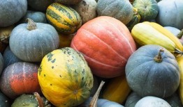 认真吃瓜网红图片,揭秘“认真吃瓜网红”的爆红之路