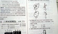 语文数学书最新爆料答案,权威解读，助力学子高效学习