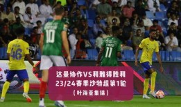 球员保姆爆料视频播放大全,球星背后的温馨瞬间