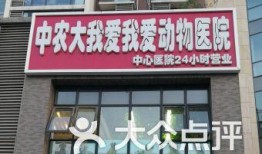 北京宠物医院新闻爆料,紧急救治事件引发关注