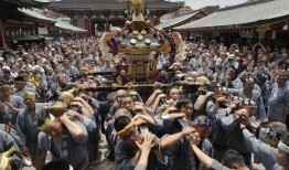 浓厚的在线观看,浓厚氛围下的视觉盛宴