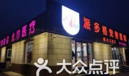 北京宠物医院新闻爆料,紧急救治事件引发关注