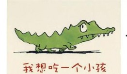 长篇爆料小故事大全视频,视频中的真实与虚构