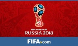 世界杯比赛最新爆料,最新爆料揭秘神秘对决