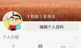 快手爆料的视频素材下载,热门视频素材背后的故事