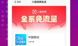 火锅小丸子爆料视频下载,揭秘幕后真相，带你走进火锅小丸子世界