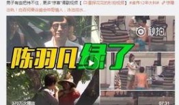 云吞爆料丁海棠事件视频,揭秘背后惊人真相