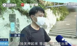 吃瓜网红大川,揭秘网红界的幕后故事