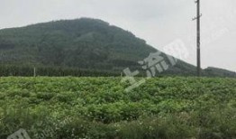 广西土地爆料最新消息,最新爆料揭示土地交易新趋势