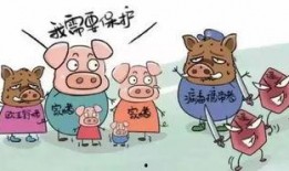 印尼猪瘟最新爆料图今天,揭秘病毒传播与防控措施”