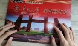 致远学校爆料视频大全集,揭秘校园风云录
