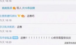 明星国籍爆料视频大全,视频大全深度解析