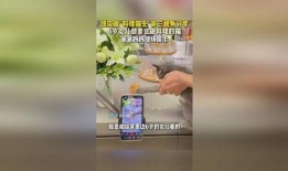 料理猫王爆料视频播放,独家爆料视频带你领略美食制作魅力
