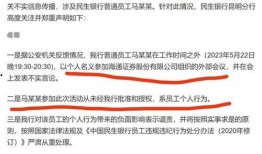 越南招商爆料事件始末视频,真相与争议的交织