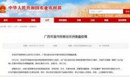 岑溪新闻爆料热线官网查询